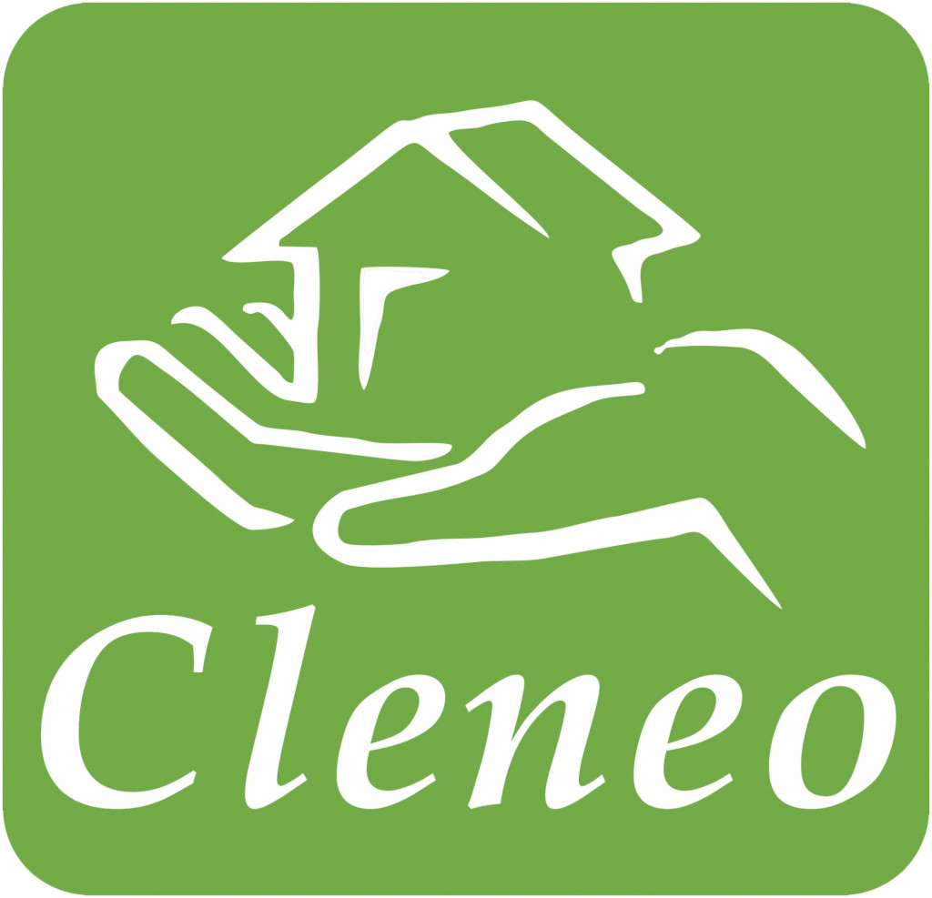 Cleneo – usługi dla biur